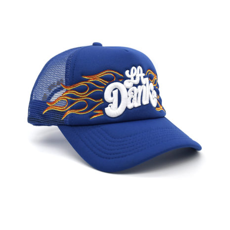 LA Dank Flames Blue Hat angled copy